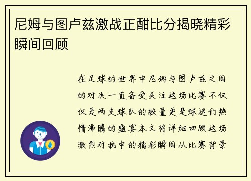 尼姆与图卢兹激战正酣比分揭晓精彩瞬间回顾