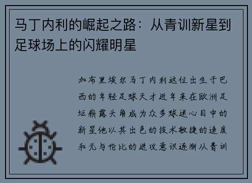 马丁内利的崛起之路：从青训新星到足球场上的闪耀明星