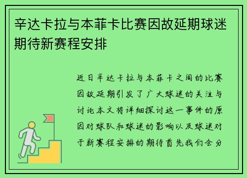 辛达卡拉与本菲卡比赛因故延期球迷期待新赛程安排