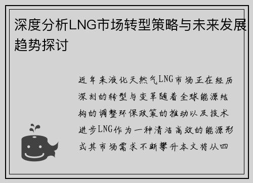 深度分析LNG市场转型策略与未来发展趋势探讨