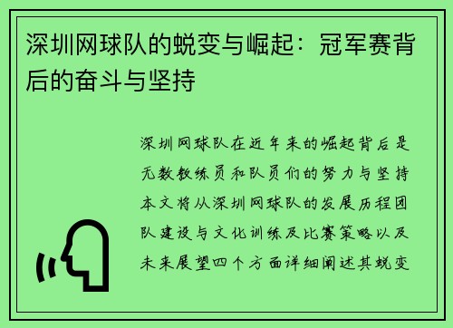 深圳网球队的蜕变与崛起：冠军赛背后的奋斗与坚持
