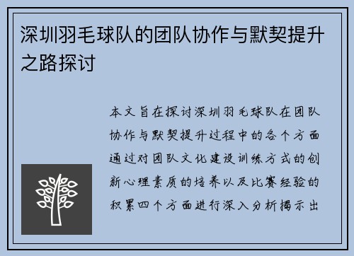 深圳羽毛球队的团队协作与默契提升之路探讨