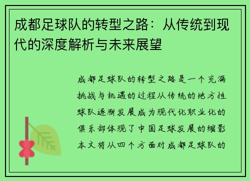 成都足球队的转型之路：从传统到现代的深度解析与未来展望