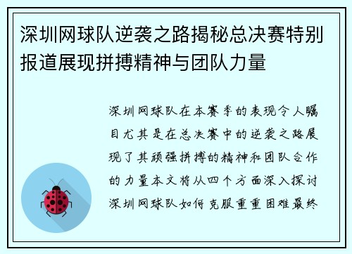 深圳网球队逆袭之路揭秘总决赛特别报道展现拼搏精神与团队力量